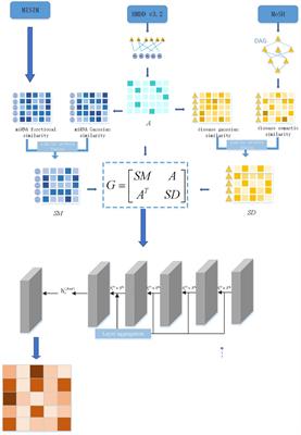 DEJKMDR: miRNA-disease association prediction method based on graph convolutional network